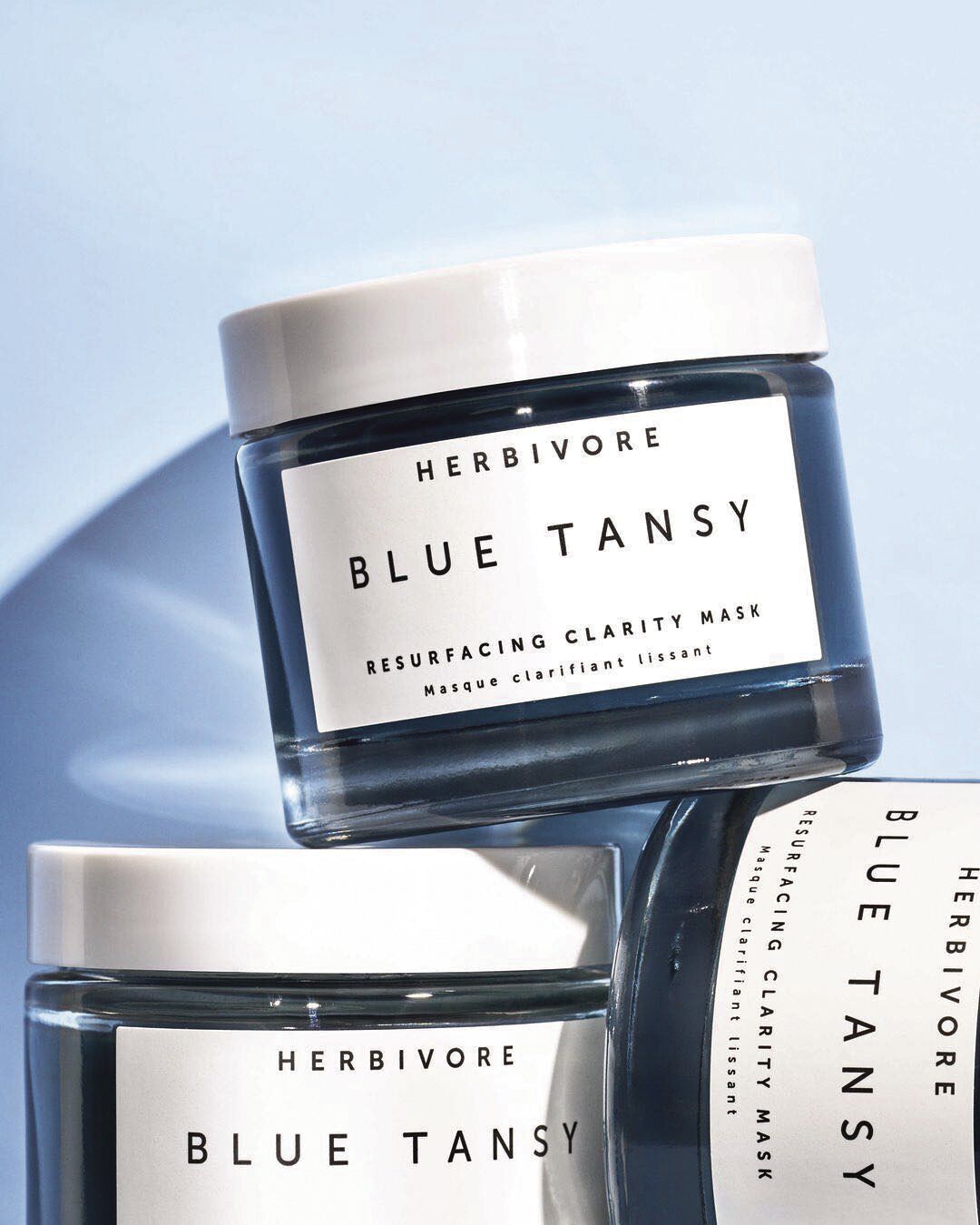 Blue Tansy via Herbivore FB.jpg